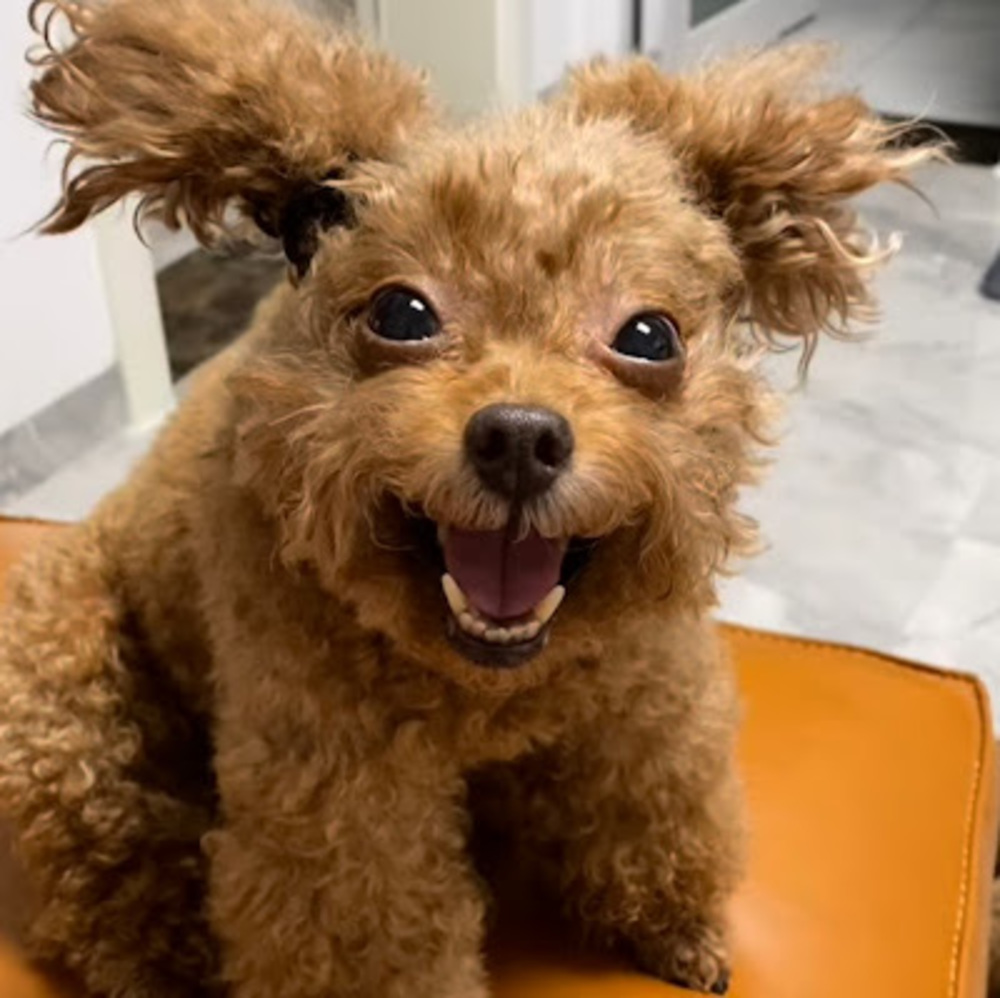 Meet your Posher, Azmia